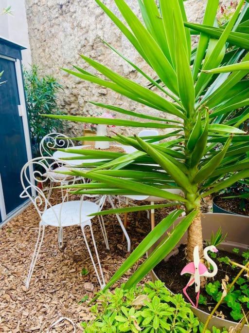 Havre De Paix Avec Jardin Et Clim En Centre Ville De Sete Ngoại thất bức ảnh